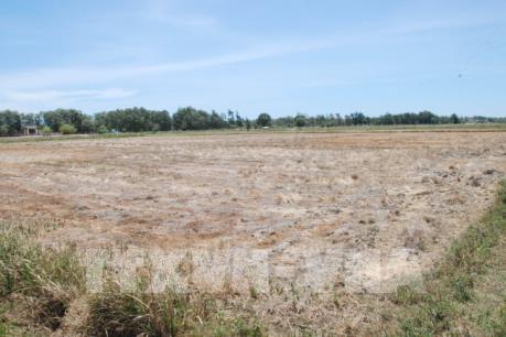 Quảng Nam đối mặt với hạn hán và xâm nhập mặn lịch sử