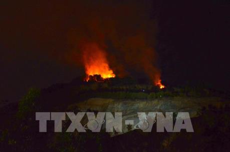Cơ bản khống chế vụ cháy rừng trong đêm tại Đà Nẵng
