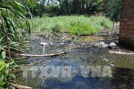 Người dân bức xúc vì chậm xử lý cơ sở chăn nuôi gây ô nhiễm kéo dài