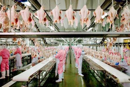 Công nghệ đang giúp biến đổi ngành sản xuất thực phẩm như thế nào?