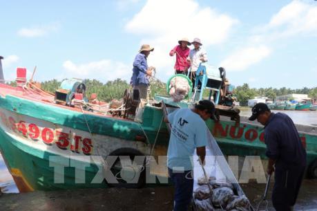 Tăng cạnh tranh cho thủy sản Việt Nam - Bài 1: Giải bài toán nguyên liệu