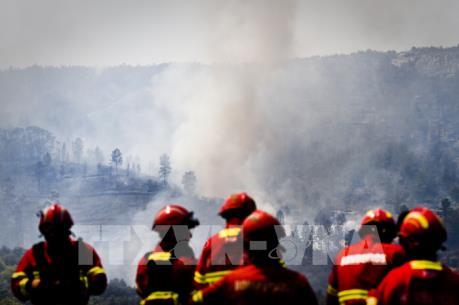 Phát hiện nhiều thiết bị nổ gần khu vực cháy rừng ở Bồ Đào Nha