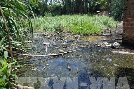 Phản hồi thông tin của TTXVN: Đắk Lắk kiểm tra việc chậm xử lý cơ sở chăn nuôi