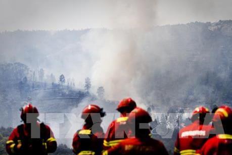 Nguyên nhân dẫn tới cháy rừng khó kiểm soát ở Bồ Đào Nha