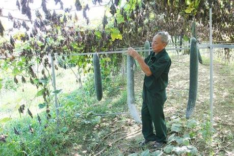 Thắng giặc năm xưa, thắng đói nghèo hôm nay​