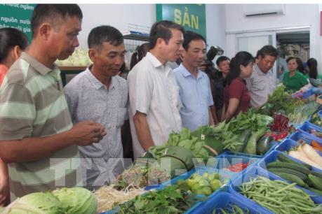 Làm gì để doanh nghiệp và người dân nói không với túi ni lông?