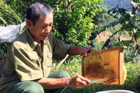 Vốn chính sách giúp cựu chiến binh Lạng Sơn thoát nghèo