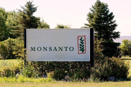 Có bằng chứng thuốc diệt cỏ của Monsanto gây ung thư