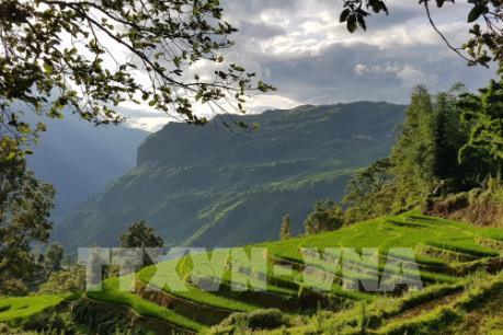 Dự báo thời tiết Lào Cai 10 ngày tới: Có thể xảy ra lốc, sét, mưa đá