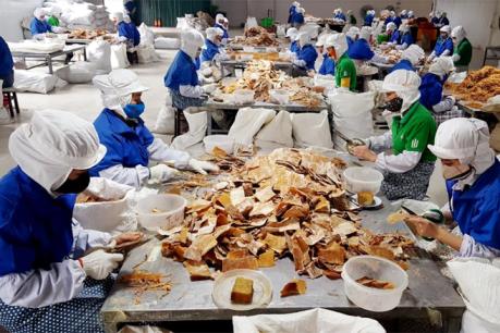 Hàn Quốc chia sẻ kinh nghiệm với Việt Nam về huy động vốn tư nhân