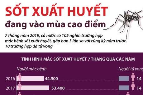 Sốt xuất huyết đang vào mùa cao điểm