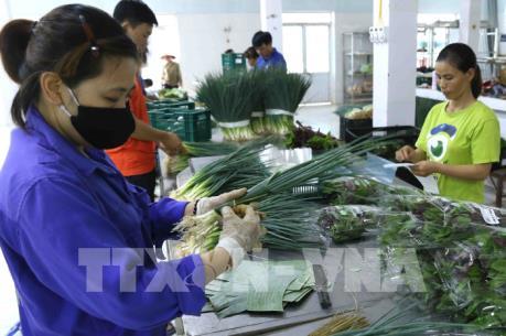 Cầu nối đưa hàng hóa của hợp tác xã vào hệ thống phân phối
