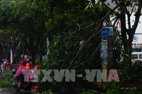 Bão số 3 (Wipha) đổ bộ Trung Quốc 