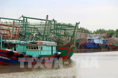 Ứng phó bão số 3: Hải Phòng dừng hoạt động vận tải đường thủy nội địa