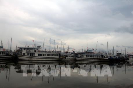 Chiều nay 2/8, bão số 3 đi vào vùng biển Quảng Ninh - Hải Phòng