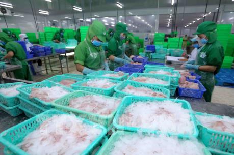 Dự báo xuất khẩu cá tra sang Mỹ sẽ tiếp tục giảm