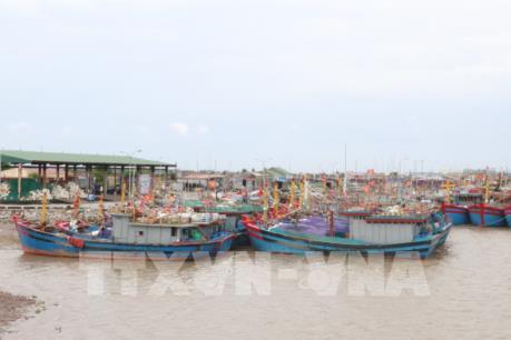 Hoạt động trên biển tại Hải Phòng dần trở lại bình thường sau cơn bão số 3