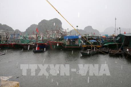 Bão số 3 đi vào phía Bắc tỉnh Quảng Ninh và suy yếu thành áp thấp nhiệt đới