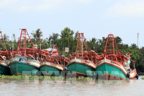 Bất cập triển khai Nghị định 67: Ngân hàng khởi kiện ngư dân