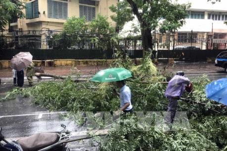 Áp thấp nhiệt đới vào Đồng bằng trung du Bắc Bộ với sức gió giật cấp 8