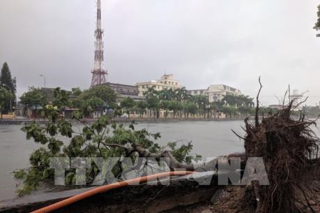 Hải Dương: Nhiều tuyến phố ngập sâu, cây đổ hàng loạt