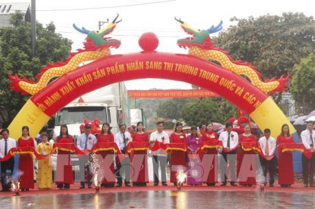 Công bố xuất khẩu nhãn Sơn La