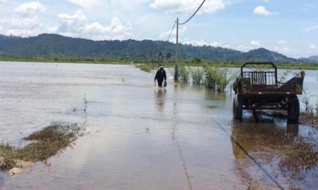Gần 2.600 ha cây trồng đang bị ngập, úng do ảnh hưởng bão số 3