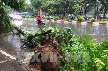 Hà Nội có khoảng hơn 50 cây xanh bị gẫy, đổ do bão số 3
