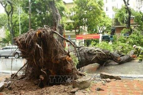 Hà Nội chủ động ứng phó về môi trường do ảnh hưởng bão số 3