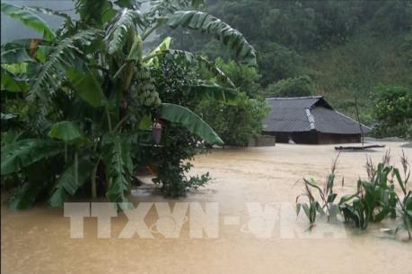 Dự báo thời tiết 2 ngày tới: Bắc Bộ có mưa vừa đến mưa to, có nơi mưa rất to