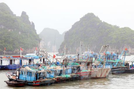 Xuất hiện vùng áp thấp trên Biển Đông