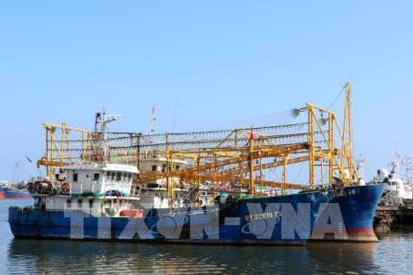 Nợ xấu theo Nghị định 67 có xu hướng gia tăng