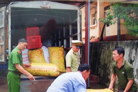 Tiêu hủy  hơn 1.600 quả trám trắng nhập lậu từ Trung Quốc