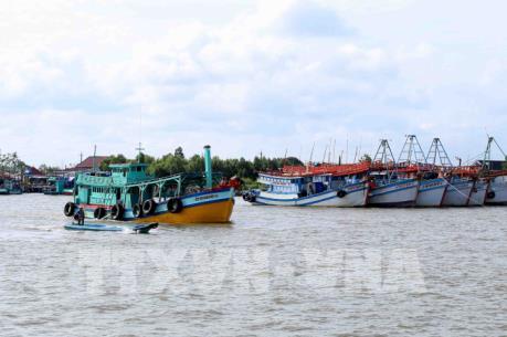Quảng Trị đẩy nhanh lắp thiết bị giám sát tàu cá dài trên 24m