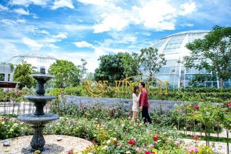 Vượt biển khám phá Vương quốc hoa hồng – trải nghiệm mới cực ngọt ngào tại Nha Trang
