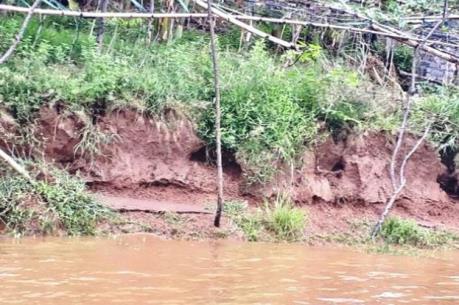 Hà Nội xuất hiện nhiều điểm đê bị sạt lở