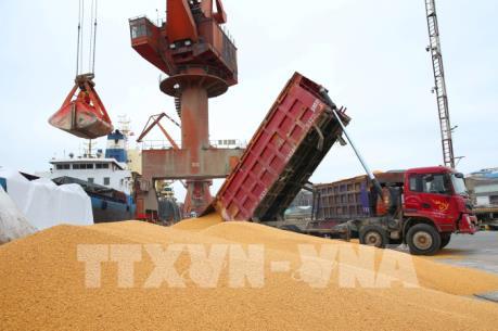 Trung Quốc lên kế hoạch áp thuế với nông sản Mỹ