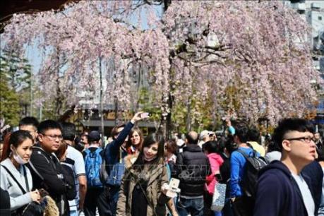 Du khách Hàn Quốc tới Nhật Bản bất ngờ giảm mạnh