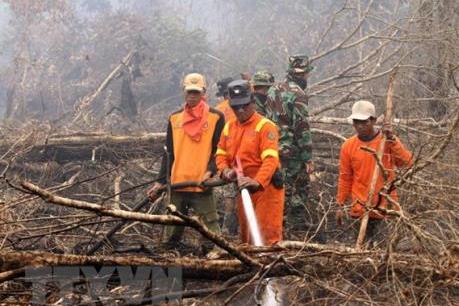 Bị cách chức nếu không thể dập tắt cháy rừng