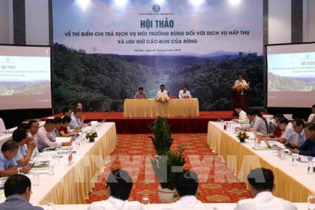 Năm 2020 sẽ có 4 tỉnh thí điểm chi trả dịch vụ hấp thụ và lưu trữ các bon của rừng