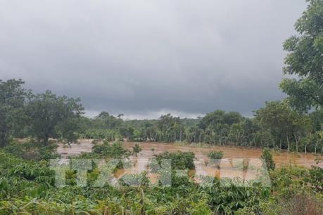 Mưa lũ gây thiệt hại nặng tại nhiều địa phương tỉnh Đắk Nông