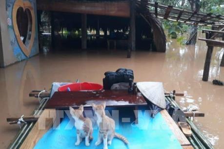 Đồng Nai tiếp tục di dời 1.200 hộ dân ven sông do lũ lên cao