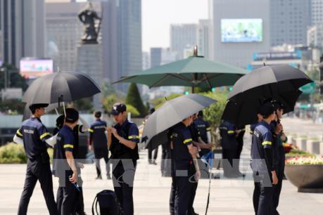 Hà Lan có thêm gần 400 người người thiệt mạng vì nắng nóng kỷ lục