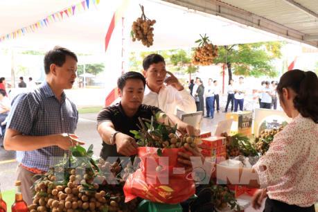 Lần thứ 3 tổ chức Tuần lễ nhãn lồng Hưng Yên tại Hà Nội