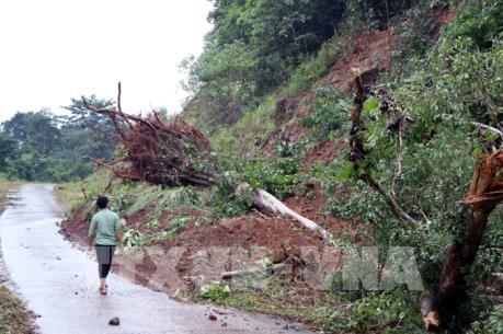 Bị ngập lụt nghiêm trọng, Nhà máy thủy điện Đắk Sin 1 phải dừng hoạt động