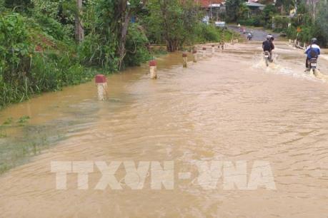 Lũ quét gây thiệt hại nặng cho vùng sản xuất nông nghiệp công nghệ cao