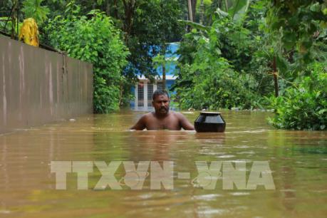 Mưa lũ hoành hành tại nhiều bang của Ấn Độ