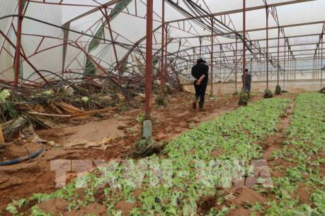 Phát huy thế mạnh, đón đầu làn sóng đầu tư