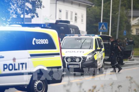 Na Uy: Nổ súng tại thánh đường Hồi giáo