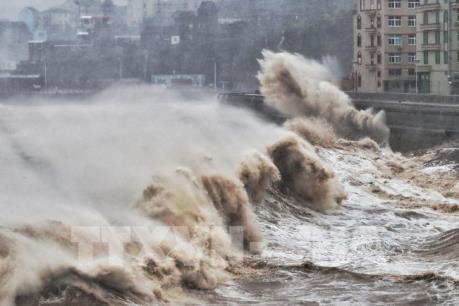 Bão Lekima khiến gần 50 người chết và mất tích tại Trung Quốc